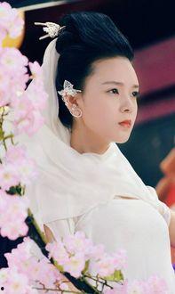 娱乐圈六小花旦,璀璨星河中的青春风采